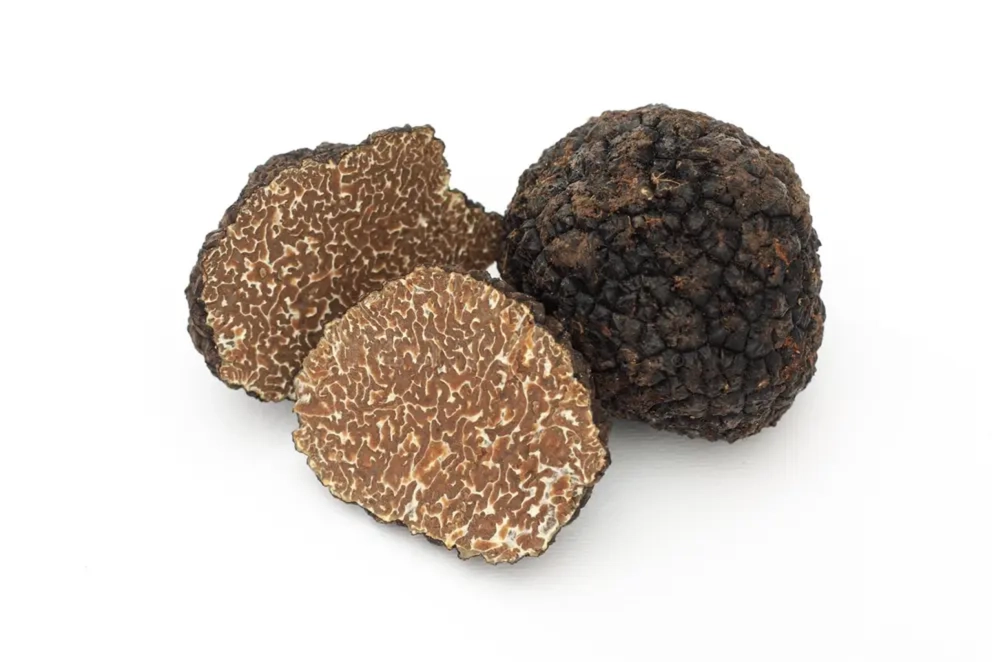 tartufo nero pregiasto Abruzzo